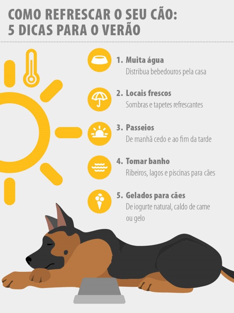 2022_05_Cooling_infographic_D_PT Insolação nos cães: dicas