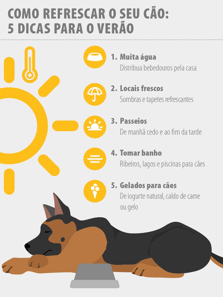 2022_05_Cooling_infographic_D_PT Insolação nos cães: dicas
