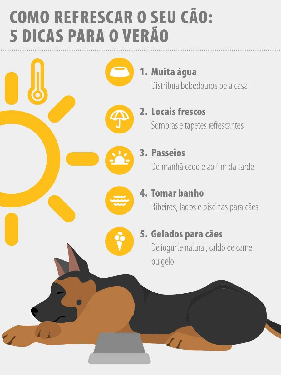 2022_05_Cooling_infographic_D_PT Insolação nos cães: dicas