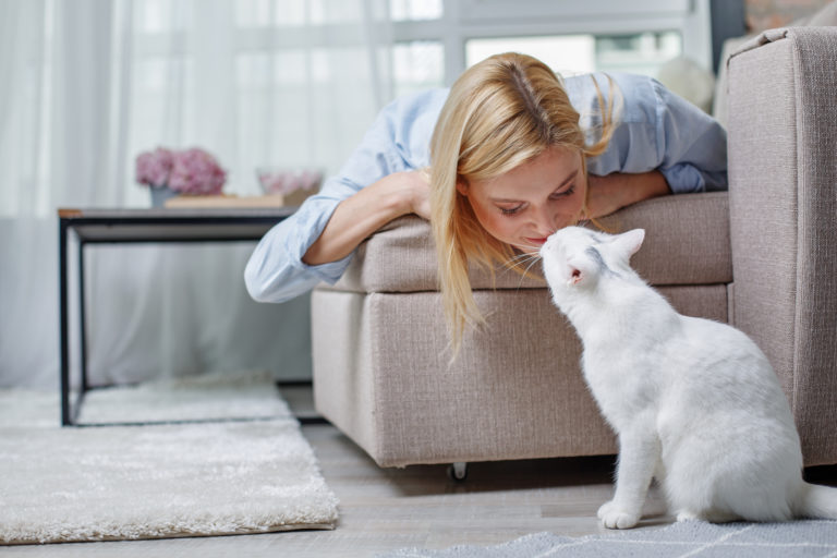 gato branco no chão e dona no sofá a trocar carícias