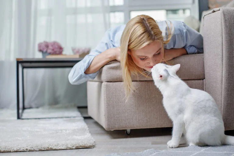 gato de interior ou de exterior_1 gato branco no chão e dona no sofá a trocar carícias