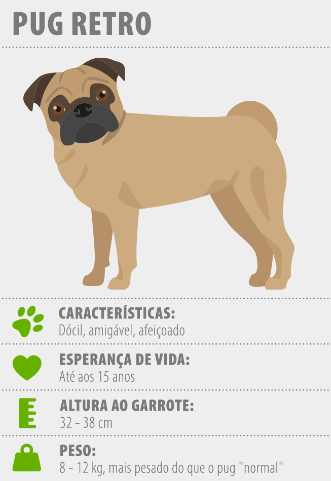 características retro pug