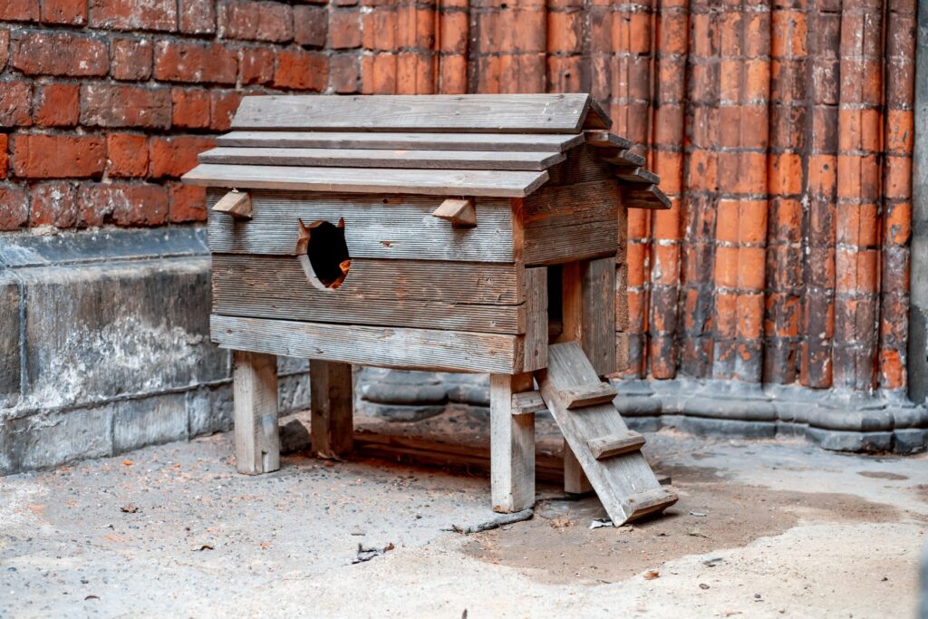 casa_gatos_2 Casas para gatos: casa de madeira com pés e uma rampa para o gato entrar