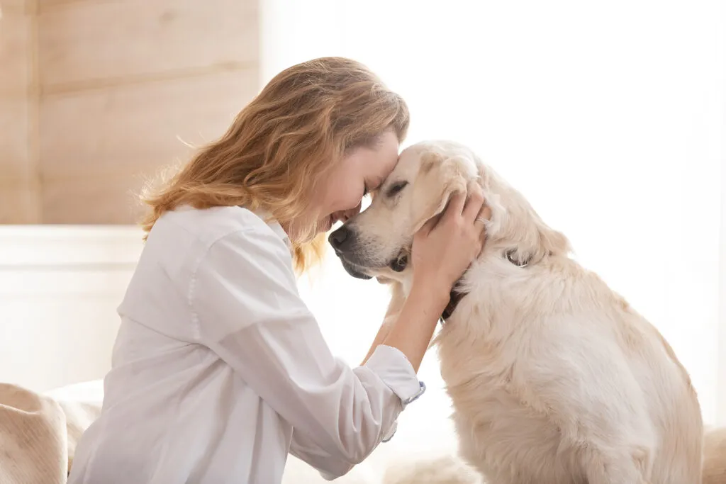 doença hepática nos cães_2 mulher a abraçar o focinho de um cão branco