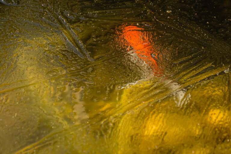 Peixes de lago no inverno: lago com gelo