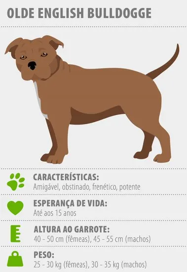 perfil olde english bulldogge