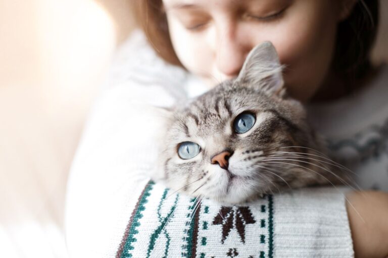 Smiling woman at home holding her lovely fluffy cat. Gray tabby Conjuntivite nos gatos: dona com o seu gato ao colo