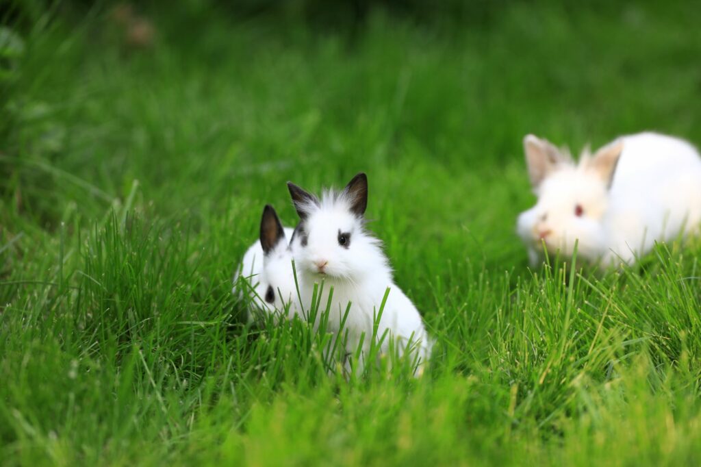 AdobeStock_265196161-1-1024×682