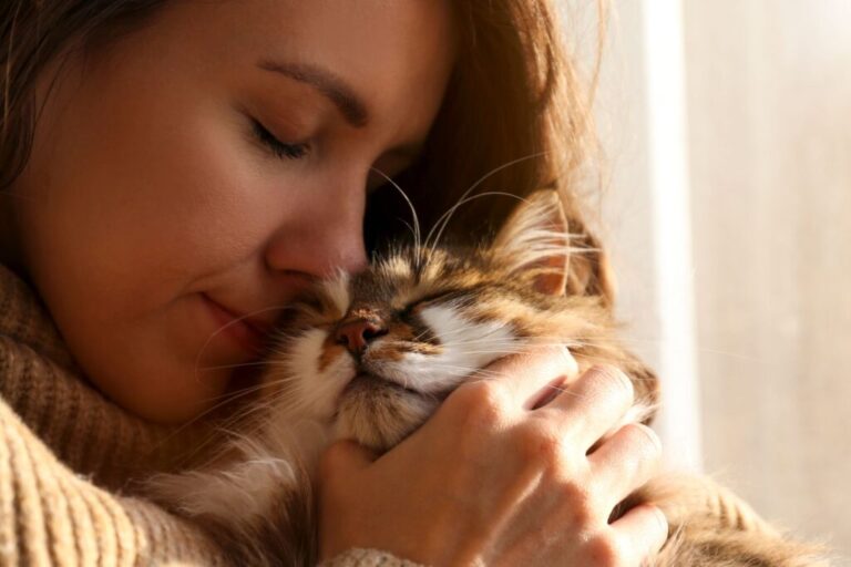 gatos para pessoas alérgicas_1 mulher com alergia a dar mimos a gato hipoalergénico