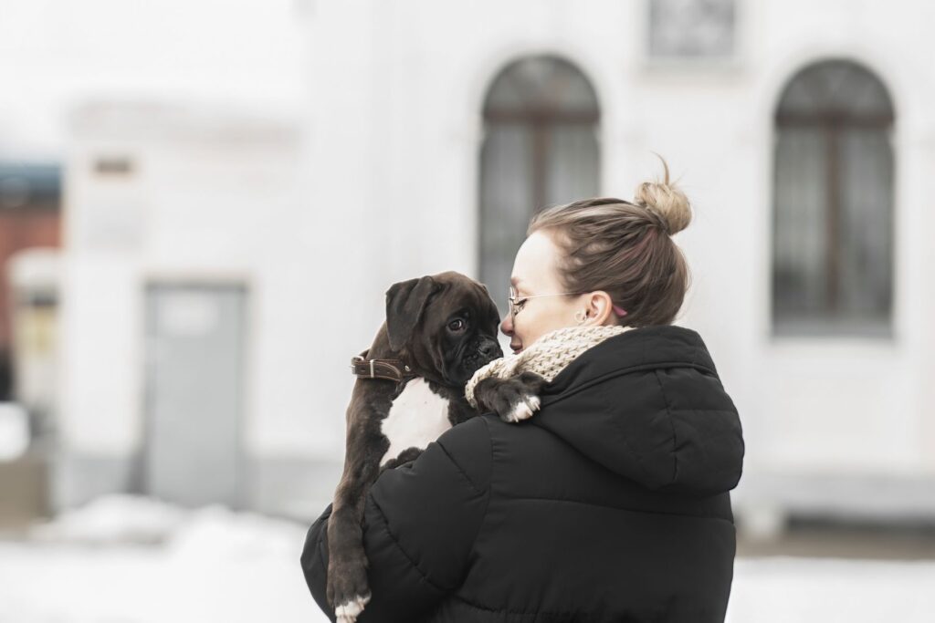 Cão ao colo da tutora no inverno: quando o meu cão não quer passear no inverno