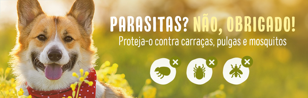 parasiticides_campaign_022024_dog_2