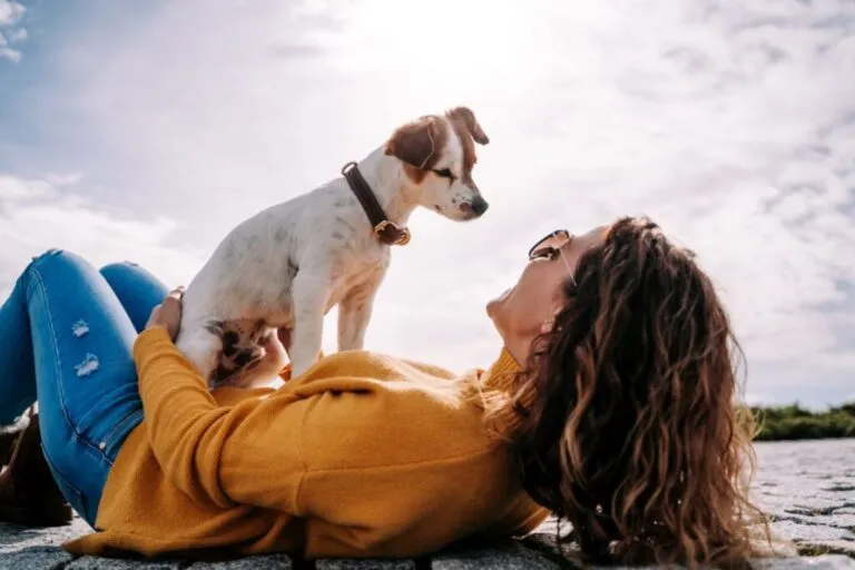 criar laços com o meu cão_1 cão com patas dianteiras em cima da dona