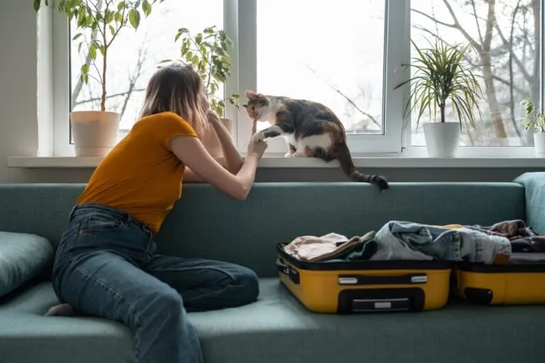 hotel para gatos_1 gato em cima do parapeito da janela e dona sentada no sofá com mala de viagem aberta