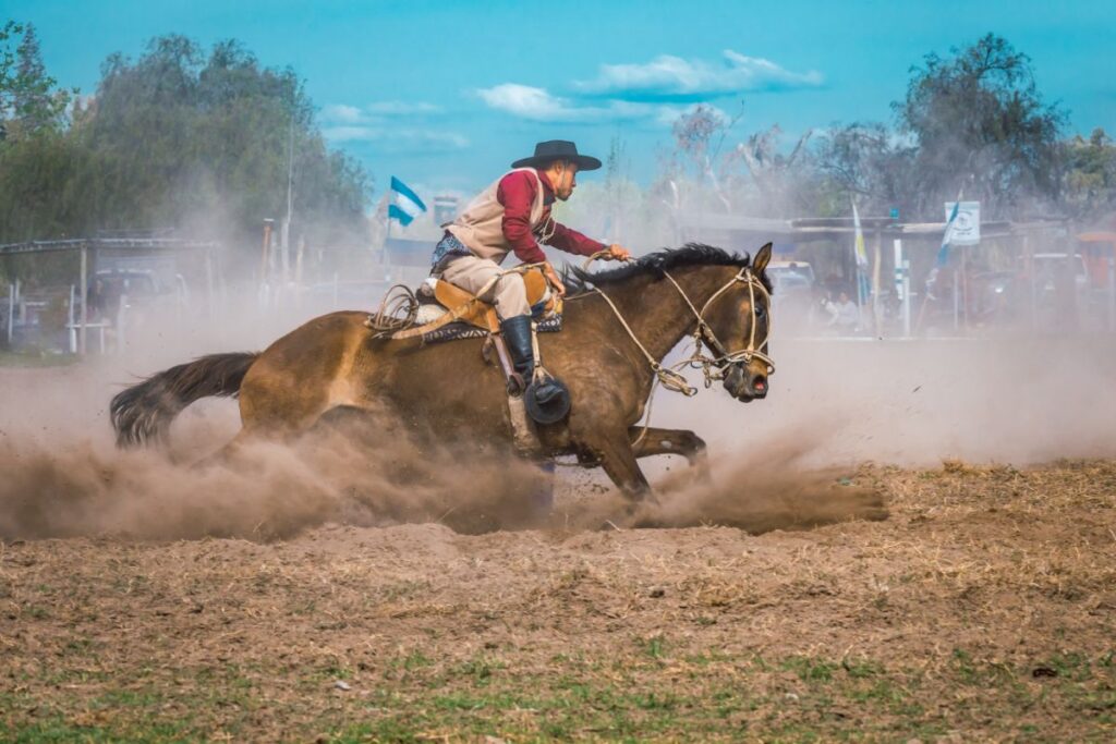 crioulo_3 cavalo crioulo montado por gaúcho