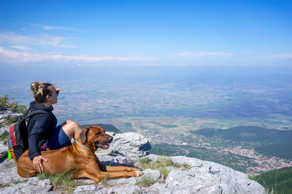 leão da rodésia_3 cão leão da rodésia numa montanha com mulher
