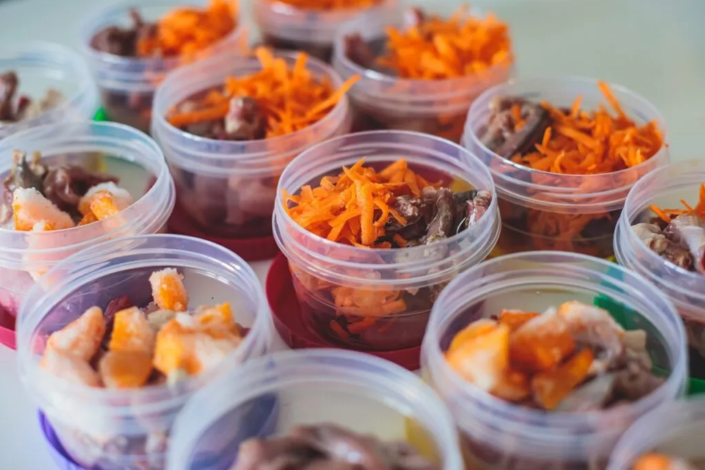 comida caseira para cães_2