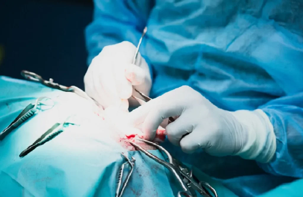 c&atilde;o com h&eacute;rnia umbilical a ser operado